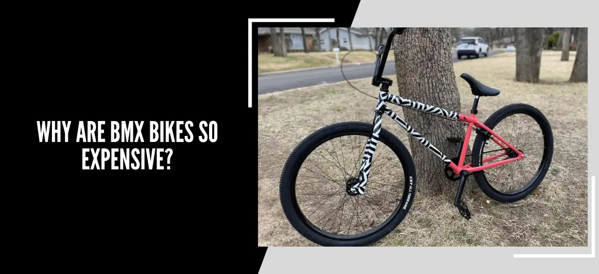 Why Are BMX Bikes So Expensive?
