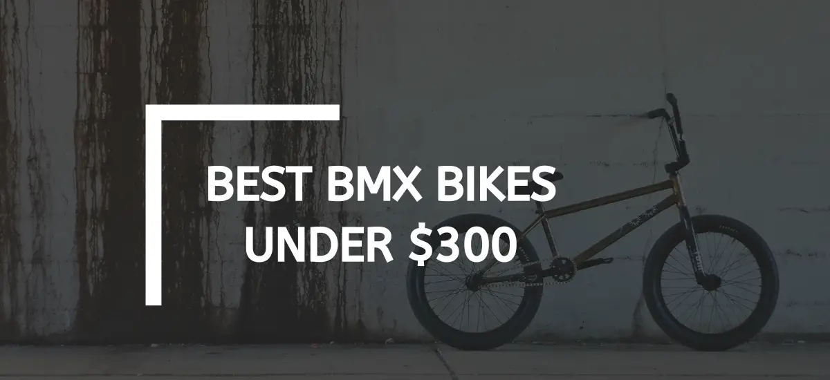 Best BMX Bikes Under $300