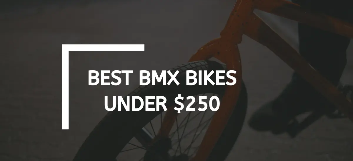 Best BMX Bikes Under $250